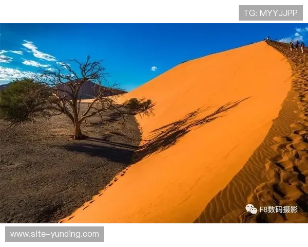 南非最大的赌场：探索非洲博彩业的璀璨明珠