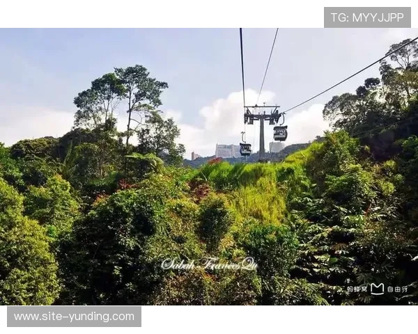 吉隆坡云顶官网入口详细介绍，帮助玩家顺利访问云顶娱乐官方平台